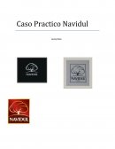 CASO PRÁCTICO NAVIDUL Plan de marketing