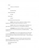 ¿Vivimos en un multiuniverso?