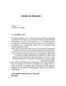 Estilos de dirección