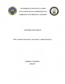 Auditoría (antecedentes, características y auditoría financiera)