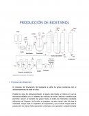 Produccion de bioetanol