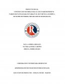 EJECUCION DE PROYECTOS SKATE PARK