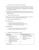 Plan de estudios. PRODUCTOS INTERMEDIOS Y/O FINALES