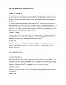 PICAFLOR DE COLA AHORQUILLADA