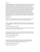 Estudios epidemiológicos sobre el fútbol