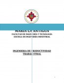 Ingeniería de productividad