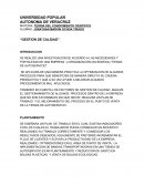 Ejemplo Ensayo Gestion De Calidad Simple