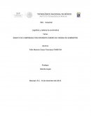 ENSAYO DE 5 EMPRESAS CON DIFERENTE DISEÑO DE CADENA DE SUMINISTRO