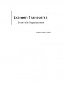 Desarrollo organizacional empresa American WOODS. S.A