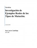Genética Investigación de Ejemplos Reales de los Tipos de Mutación