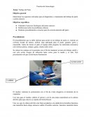 Practica de Ginecología Tema: Trabajo de Parto