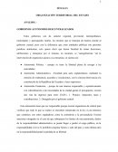 ANÁLISIS. - GOBIERNOS AUTÓNOMOS DESCENTRALIZADOS