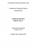 EVIDENCIA INDIVIDUAL ENSAYO “RALLY”