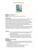 PROYECTO: “MIRANDO CUADROS”