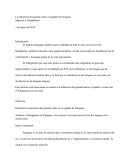 La influencia del guaraní sobre el español de Paraguay