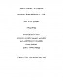 TRANSFERENCIA DE CALOR Y MASA PROYECTO: INTERCAMBIADOR DE CALOR