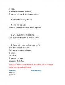 Guia de Analisis de el Poema, como tú Roque Dalton. Página 4