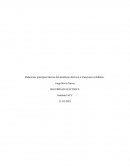 Relacionar principios básicos del fenómeno eléctrico a situaciones cotidianas
