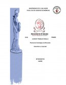Planeación Estratégica de Mercados “Industrias La Cascada”