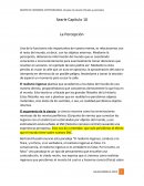 Percepción Searle cap 10