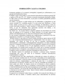 FORMACIÓN CALETA COLOSO
