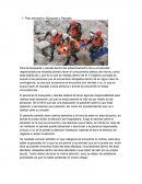 Plan preventivo: Búsqueda y Rescate