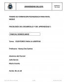 UDE Parcial Domiciliario Escritores para la Libertad JG