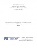 MULTIPLICIDAD, ESTABLECIMIENTO Y ADMINISTRACIÓN DE OBJETIVOS