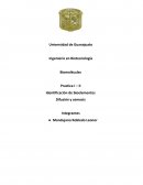 Practica II Difusión y Osmosis Biomoléculas