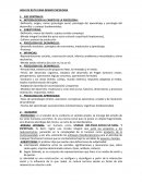 HOJA DE RUTA PARA RENDIR PSICOLOGIA