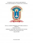 Texturas de Rocas Ígneas