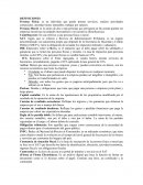 Calculo de impuestos anual