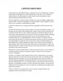 Resumen cipotes