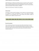 Evidencia Áreas de Photoshop