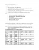 PRESUPUESTO DE TESORERIA