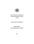 RELATO TRABAJO COLABORATIVO