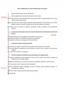 Implementar un nuevo software para una naviera