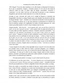 Aventuras de un niño en las calles