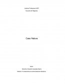 Caso Natura. La competencia en el mercado