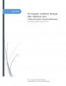 Ensayo Base de Datos en R.R.H.H