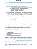 Apuntes temario microempresa 1ero mkt