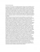 Teorías Constructivistas