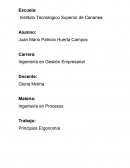 Principios ergonomia