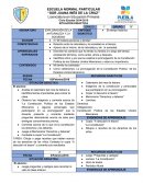 EXPLORACION DE LA NATURALEZA Y LA SOCIEDAD PLANEACIONES CONGRUNETE AL PLAN 2011