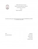 PROYECTO DE SOFTWARE CONTABLE PARA TRANSPORTE