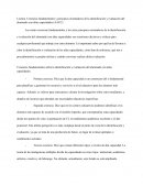 Creencias fundamentales y principios orientadores de la identificación y evaluación del alumnado con altas capacidades (AACC).