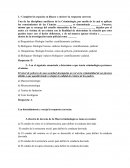 Preguntas sobre macrocriminologia