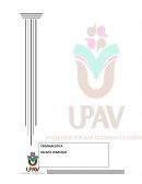 METODOLOGÍA GENERAL DE INVESTIGACIÓN CRIMINALISTA