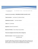 Caso Practico (Plan de Negocios) CREDITOS/PRESTAMOS SIMPLES