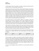 Secuencia cuento el erizo